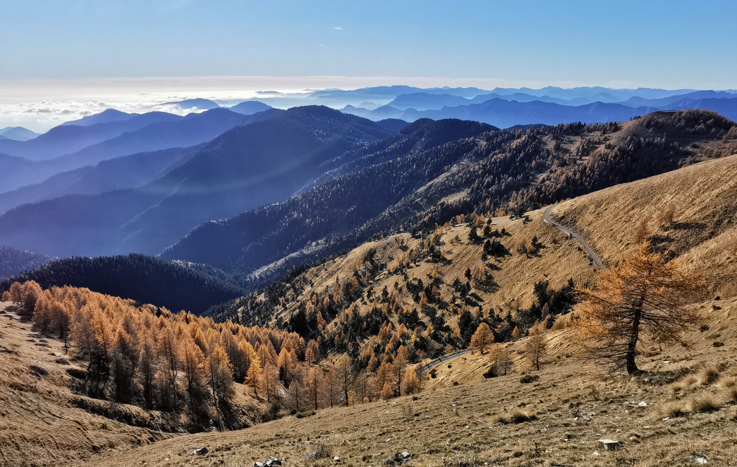 hdr