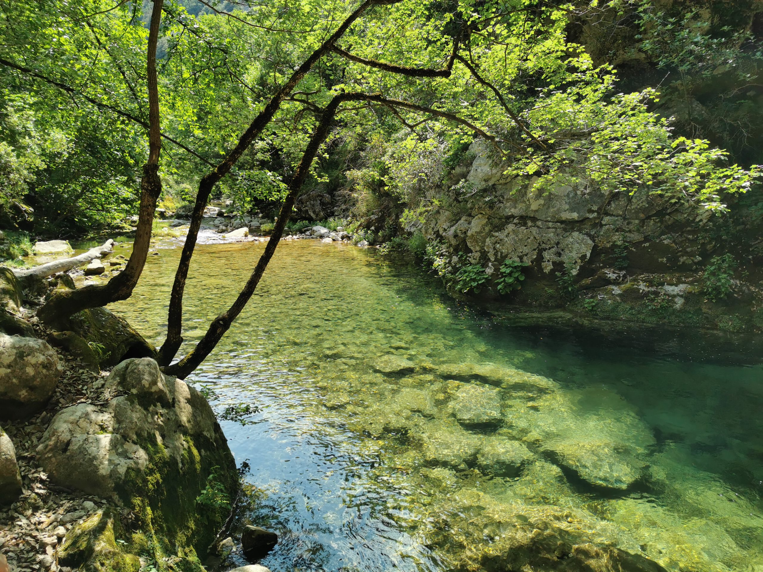 La Siagne